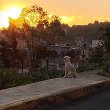 El atardecer en sus ojos . Un proyecto de Fotografía de venegaasesequiel - 09.06.2025