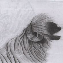 Desenho naturalista de animais com lápis grafite: Churra. Projekt z dziedziny  R, sunek, Trad, c, jna ilustracja, Ilustracja naturalist, czna, R i sunek ołówkiem użytkownika Natalia Silva - 09.06.2025