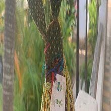 Kokedamas, Habitad, Colores. y Texturas . Projekt z dziedziny Craft,  Dekoracja wnętrz, Projektowanie wnętrz, DIY, Architektura krajobrazu, Kompoz i cje kwiatowe i botaniczne użytkownika Edric Gutierrez Salazar - 10.06.2025
