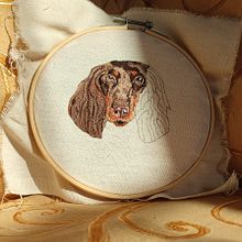 Pintar con hilo <3. Embroider, Naturalistic Illustration, and Textile Design project by Solains Vargas García - 06.11.2025