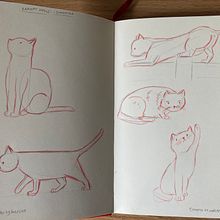 Works in progress - character design (anthropomorphic animals). Character Design, Children's Illustration, Colored Pencil Drawing, Drawing, and Pencil Drawing project by Nina Mistry-Rhoades - 06.11.2025
