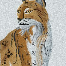 Lince Ibérico Libro Fauna Salvaje. Digital Illustration, Children's Illustration, and Vector Illustration project by Gustavo Blanco Sandoval - 06.12.2025