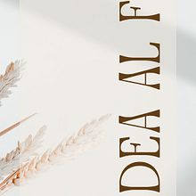 Diseñando con intención: mi proceso creativo en Canva. Projekt z dziedziny Br, ing i ident i fikacja wizualna użytkownika Marjorie Arévalo - 12.06.2025
