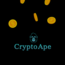 Do Crypto Exchange Scripts Support Multi-Currency Trading?. Information Design project by davidbrevis - 06.16.2025