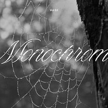 Monochrome. Photograph, and Design project by Bàrbara Dorne - 06.16.2025
