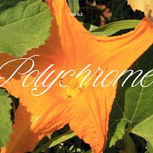 Polychrome. Photograph, and Design project by Bàrbara Dorne - 06.16.2025