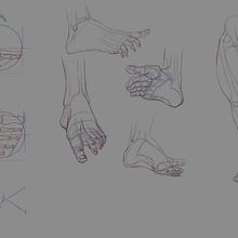 Final Project Anatomical Drawing of Limbs, Hands and Feet. Projekt z dziedziny  R, sunek art, st, czn,  R, sunek, R, sunek anatomiczn,  Sztuki piękne,  R, sunek atramentem, R, sunek ołówkiem, Portret, R, sunek realist, czn, Sketchbook i Sketching użytkownika Elinna Khor - 17.06.2025