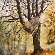 Late afternoon sunshine in Autumn in Scottish woodlands. Painting, and Watercolor Painting project by Amanda Heenan - 06.17.2025