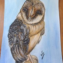 Aquarell Eule Abschlussprojekt. Un progetto di Belle arti, Pittura, Illustrazione tradizionale e Pittura ad acquerello di saskia jäkel - 17.06.2025