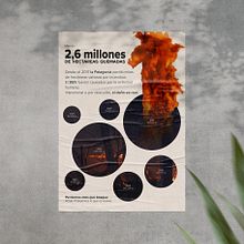 Incendios forestales. Graphic Design, Infographics & Information Design project by Mailen Recce - 06.18.2025