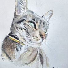 Marina en lápices de colores. Un progetto di Illustrazione tradizionale e Illustrazione naturalistica di Andrea Barros - 18.06.2025