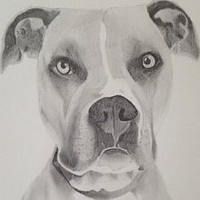 Heart dog . Un progetto di Disegno, Disegno a matita, Sketchbook, Bozzetti, DIY e Belle arti di Hannah Marlowe - 19.06.2025