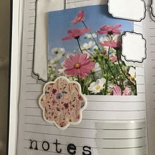 Georgina's Bullet Journal. Arts, Crafts, and Fine Arts project by Georgina Haly - 06.20.2025