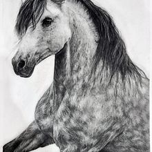 Wild Heart. Drawing, Fine Arts, Naturalistic Illustration, Pencil Drawing, and Realistic Drawing project by Michelle Esterhuizen - 06.22.2025