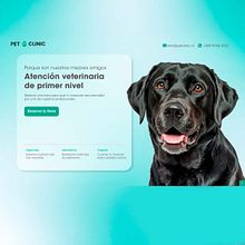 Pagina Veterinaria . App Design, Digital Design, Graphic Design, Interactive Design, Mobile Design, Web Design, UX / UI, and Digital Product Design project by Braylen Posada - 06.22.2025