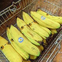 Plush Bananas. Arts, Crafts, Textile Design, Character Design, Fiber Arts, Sewing, To, Design, Sculpture, Art To, and s project by Kami Goertz - 06.23.2025