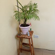 taburete. Un projet de Conception 3D, Modélisation 3D, Artisanat, DIY, Design, Fabrication de mobilier, Design d'interaction , et Menuiserie de Maximiliano Eduardo Monzon - 23.06.2025