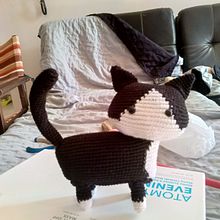 Gato. Fiber Arts project by Alexander Orozco - 06.24.2025
