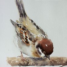 minha guache. Creativit, Drawing, Gouache Painting, Traditional illustration, Sketchbook, Sketching, and Watercolor Painting project by emanuela_lacerda89 - 06.24.2025
