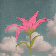 Analog Lily. Animation, and Digital Illustration project by clairejakstas - 06.25.2025