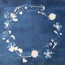 Introduction au cyanotype : Créez une impression botanique. Un progetto di Artigianato, DIY, Incisione, Fotografia analogica, Belle arti, Fotografia e Stampa di Solweig Gerbier - 25.06.2025