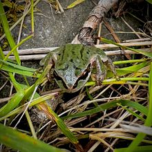 IG Practice . Marketing, Advertising, Mobile Photograph, Product Photograph, Photograph, Social Media, Instagram, Instagram Photograph, Lifest, le Photograph, and Mobile Marketing project by Molly Gray - 06.26.2025