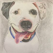 Work in progress . Un proyecto de Dibujo artístico, Dibujo, Bellas Artes, Dibujo a lápiz y Dibujo realista de Heike Barthel - 29.06.2025