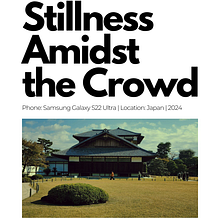 Stillness Amidst the Crowd. Photograph project by Shpat Kozgori - 06.30.2025