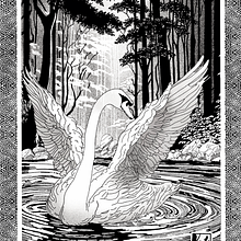 La métamorphose du vilain petit canard . Digital Illustration project by Catherine DI GIORGIO - 06.30.2025