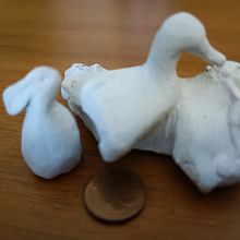 Piccoli animali nascosti  Ein Projekt aus dem Bereich Bildende Künste und 3D von Fle Flo - 30.06.2025