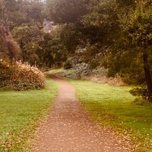A late-autumn park walk Ein Projekt aus dem Bereich Dokumentarfotografie, Smartphonefotografie, Außenfotografie und Fotografie von Rebecca Ferris - 01.07.2025