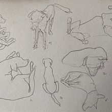 Soro Ein Projekt aus dem Bereich Zeichnung, Anatomische Zeichnung, Bleistiftzeichnung, Porträtzeichnung, Sketchbook und Skizzenentwurf von Çiğdem nur Turhan - 01.07.2025
