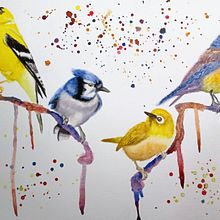 Diversidad de aves . Un proyecto de Ilustración tradicional, Pintura a la acuarela, Dibujo realista e Ilustración naturalista				 de Esthefania Diaz Marin - 02.07.2025