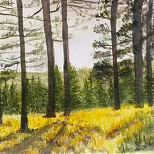 Bosco  Ein Projekt aus dem Bereich Malerei und Aquarellmalerei von bvunild - 03.07.2025