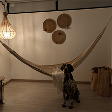 Mi refugio favorito.. Interior Architecture, Interior Design, Decoration, Interior Decoration, Retail Design, and Spatial Design project by vhenaom - 07.04.2025
