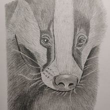 Modèles illustrés naturalistes Ein Projekt aus dem Bereich Zeichnung, Traditionelle Illustration, Naturalistische Illustration und Bleistiftzeichnung von Bruno Fauconnet - 05.07.2025