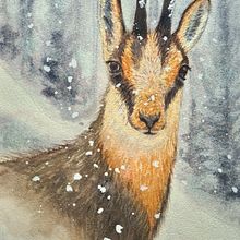 Chamois Ein Projekt aus dem Bereich Realistische Zeichnung, Traditionelle Illustration, Naturalistische Illustration und Aquarellmalerei von jutta_loeffler - 05.07.2025