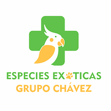 Clínica veterinaria grupo Chávez . Un projet de Br, ing et identité, Théorie des couleurs, Design , Gestion de la conception, Conception numérique, Conception éditoriale, Design graphique, Création de logos, T , et pographie de Erika Ariadna Hernandez Chavez - 07.07.2025