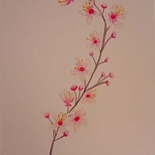 Flor del cerezo en acuarela . Watercolor Painting, and Botanical Illustration project by Oriana Malvestiti - 07.07.2025