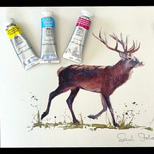 🥳Free video of a watercolour Stag painted in CMYK . Un projet de Aquarelle de Sarah Stokes - 08.07.2025