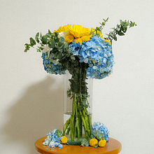 Stellar Blooms. Un projet de Décoration, DIY, Art floral et végétal, Design d'intérieur, Pa , et sagisme de Rossana Florez Cabrera - 10.07.2025