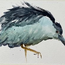 Ave proyecto final. Un projet de Illustration traditionnelle, Illustration naturaliste , et Aquarelle de Mar - 10.07.2025
