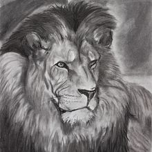 Lion. Un projet de Dessin de Linda Graflund - 10.07.2025