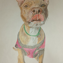 Mi maeve. Een project van Tekening met potlood van marcelabrancati - 10.07.2025