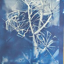 מבעד לשברים Ein Projekt aus dem Bereich Fotografisches Selbstporträt, Fotografie, Analogfotografie, Artistische Fotografie und Fotoretuschierung von tamguri - 13.07.2025