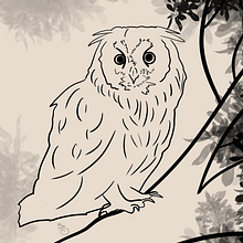 Birds project. Un proyecto de Ilustración digital de Cristina-Denisa Malyar - 14.07.2025