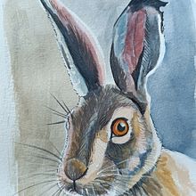 Zwierzęta z kursu Eksperymentalne techniki akwarelowe dla początkujących. Een project van Traditionele illustratie, Aquarelschilderen,  Beeldende kunst y Naturalistische illustratie van halina - 14.07.2025