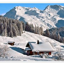 Un pino en la nieve.. Un proyecto de Escritura creativa, Escritura de no ficción, Narrativa, Stor, telling, Escritura, Diseño editorial, Instagram, Cop y writing de milenafossatb - 16.07.2025