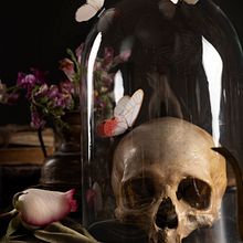 The memory collector. Writing project by Marcos Fávero - 07.18.2025