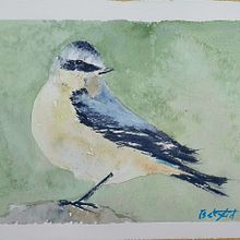 Pájaros en su entorno. Un progetto di Illustrazione tradizionale, Illustrazione naturalistica e Pittura ad acquerello di Beatriz Fid - 19.07.2025